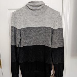 EXPRESS Turtleneck sweater